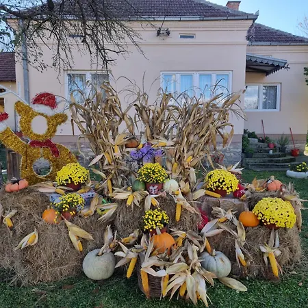 Hacijenda Milosavljevic Holiday home Vrnjacka Banja